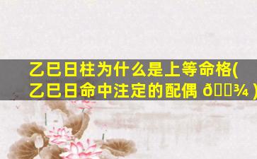 乙巳日柱为什么是上等命格(乙巳日命中注定的配偶 🌾 )